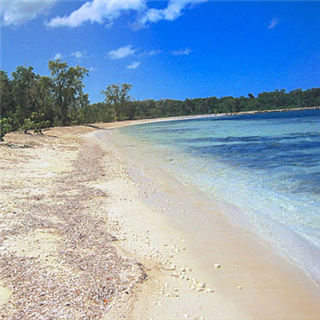 200 Acres of Beachfront Land for Sale,
