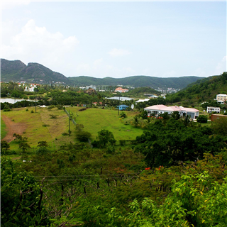 0.25 Acre Lot of Land for Sale