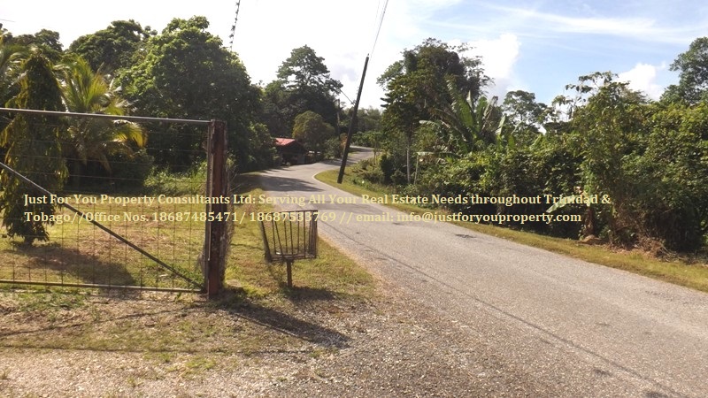 Land for Sale Sangre Grande