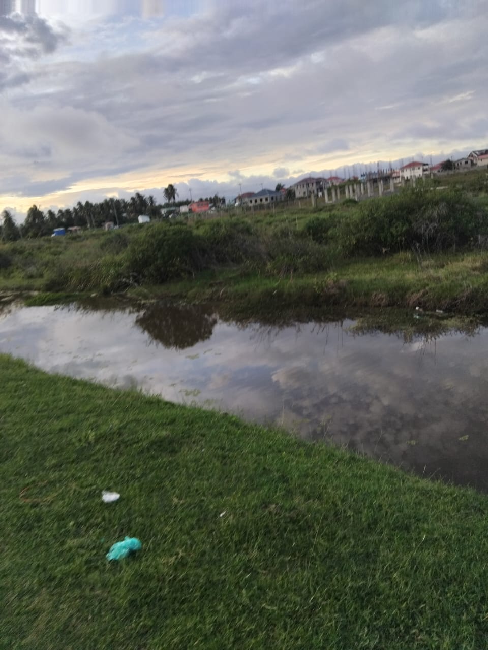 Prime Investment Opportunity: Oversized 10,890 Sq. Ft. Build-Ready Lot in Melanie Damishana